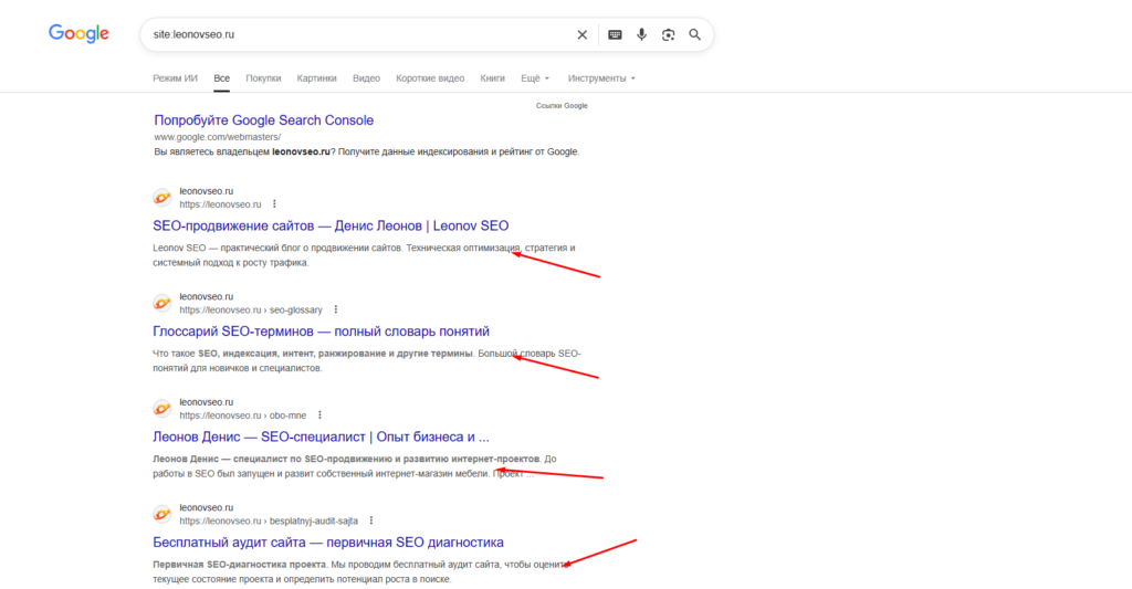 description v vidache google